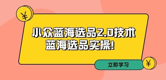 拼多多培训第33期：小众蓝海选品2.0技术-蓝海选品实操！-大白鱼网创