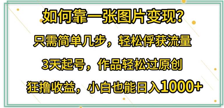 如何靠一张图片变现?只需简单几步，轻松俘获流量，3天起号，作品轻松过原创-大白鱼网创