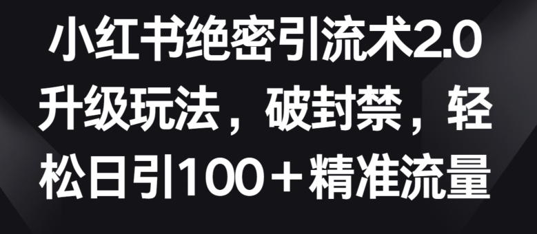 小红书绝密引流术2.0升级玩法，破封禁，轻松日引100+精准流量-大白鱼网创