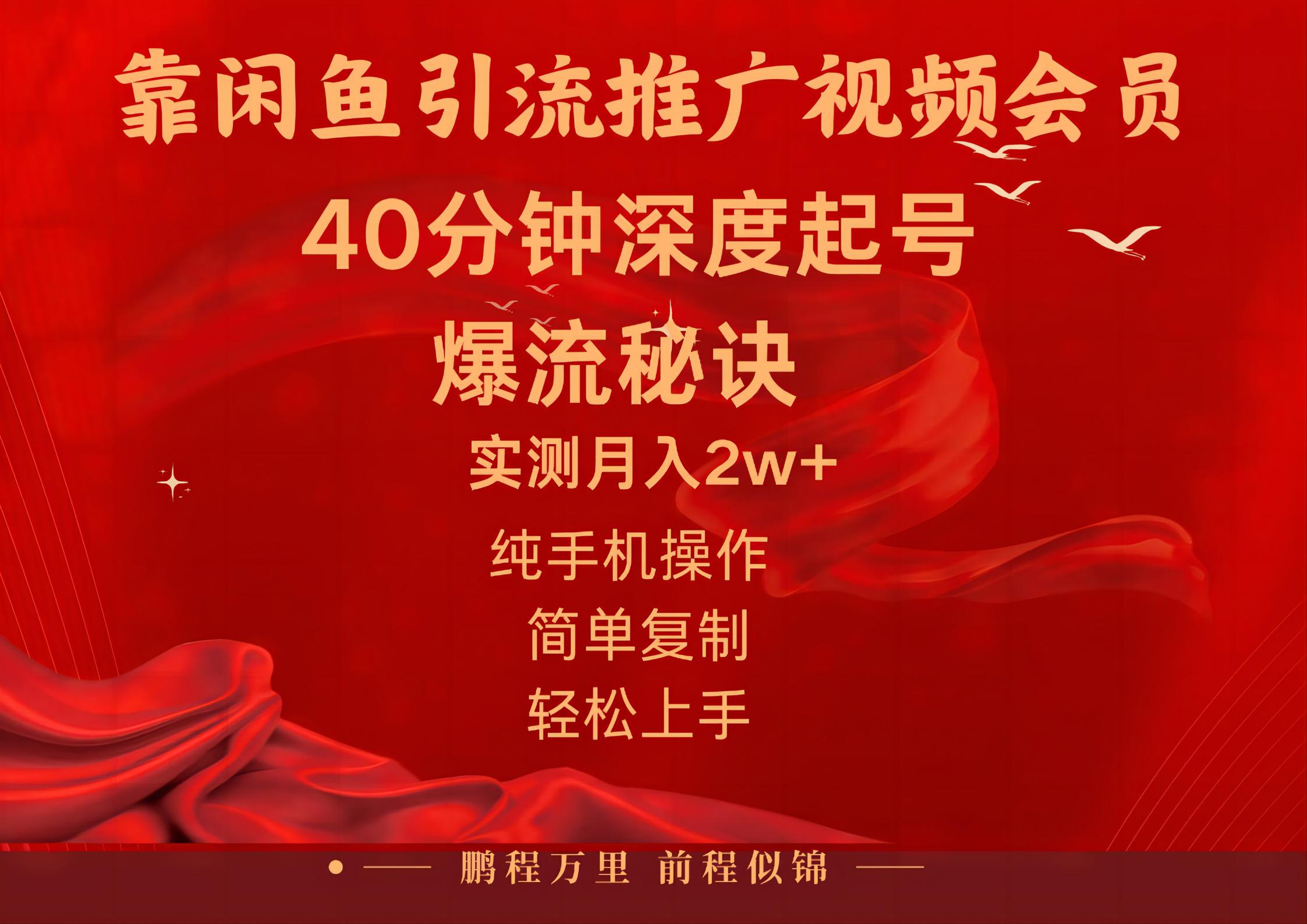 闲鱼暴力引流推广视频会员，能做到日入2W+，操作简单-大白鱼网创