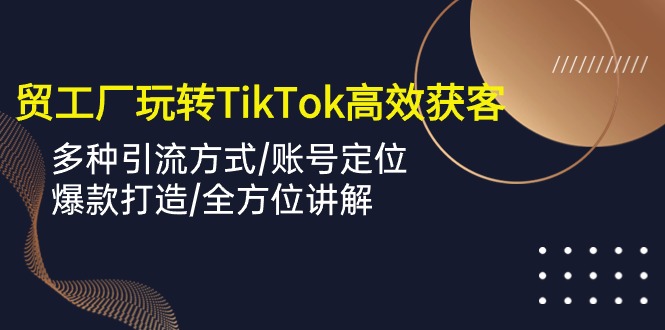 外贸工厂玩转TikTok高效获客，多种引流方式/账号定位/爆款打造/全方位讲解-大白鱼网创