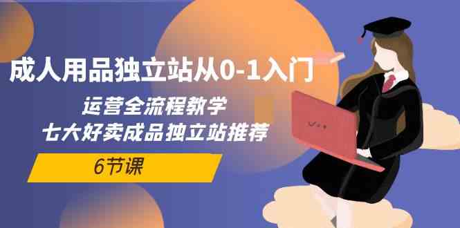 成人用品独立站从0-1入门，运营全流程教学，七大好卖成品独立站推荐（6节课）-大白鱼网创