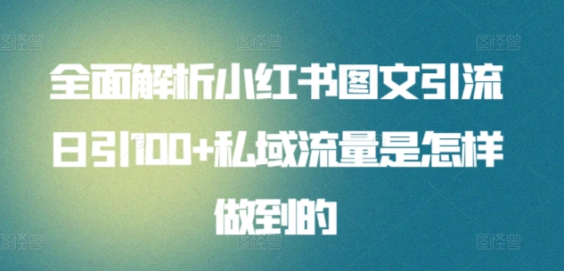 全面解析小红书图文引流日引100+私域流量是怎样做到的-大白鱼网创