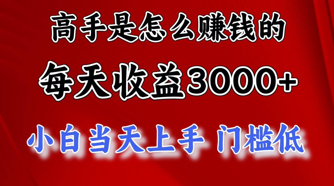 高手是怎么赚钱的，一天收益3000+ 这是穷人逆风翻盘的一个项目，非常…-大白鱼网创