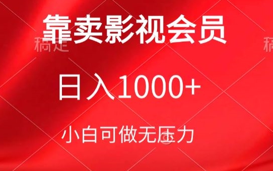 靠卖影视会员，日入1000+，落地保姆级教程，新手可学-大白鱼网创