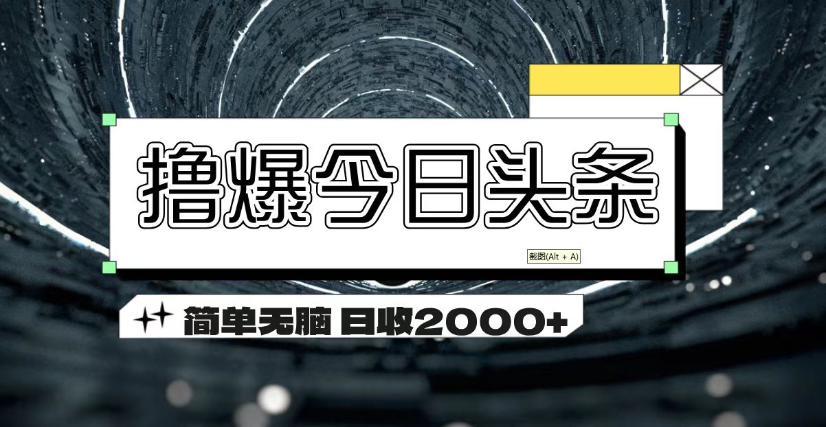 撸爆今日头条 简单无脑操作 日收2000+-大白鱼网创