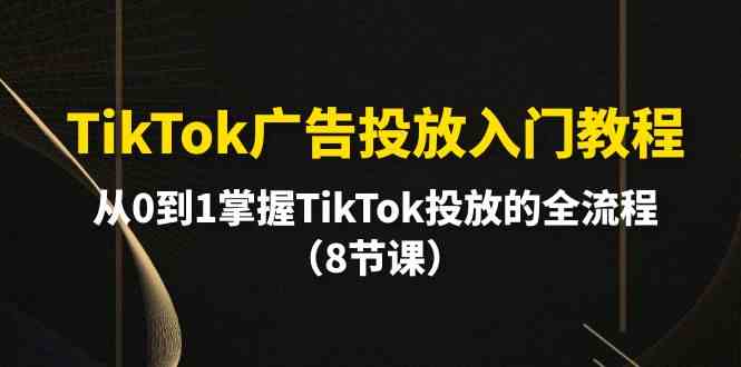 TikTok广告投放入门教程，从0到1掌握TikTok投放的全流程（8节课）-大白鱼网创