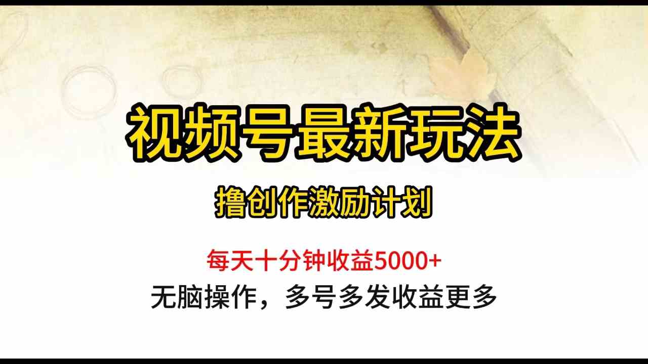 （10087期）视频号最新玩法，每日一小时月入5000+-大白鱼网创