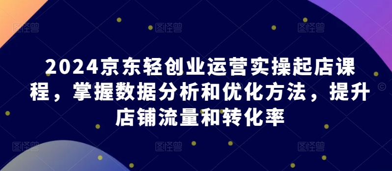 2024京东轻创业运营实操起店课程，掌握数据分析和优化方法，提升店铺流量和转化率-大白鱼网创