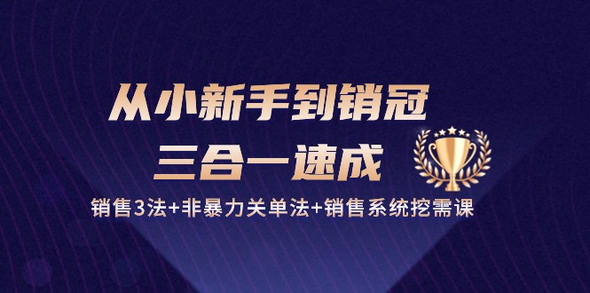 从小新手到销冠三合一速成：销售3法+非暴力关单法+销售系统挖需课 (27节)-大白鱼网创