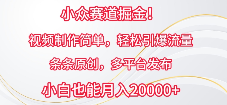 小众赛道掘金，视频制作简单，轻松引爆流量，条条原创，多平台发布-大白鱼网创