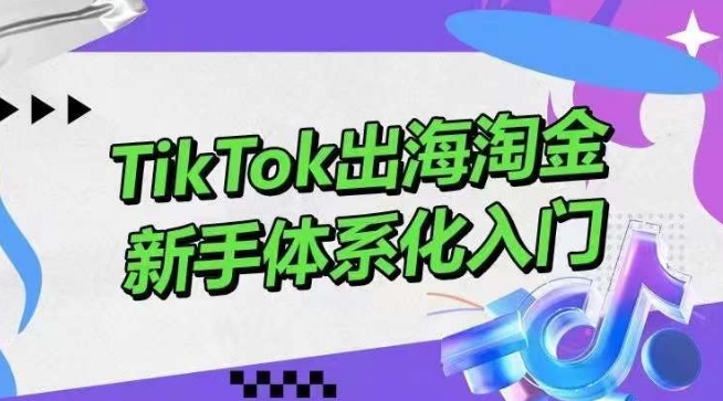 TikTok出海淘金，新手体系化入门，零基础快速入门，掌握短视频、直播带货等引流到变现的知识-大白鱼网创