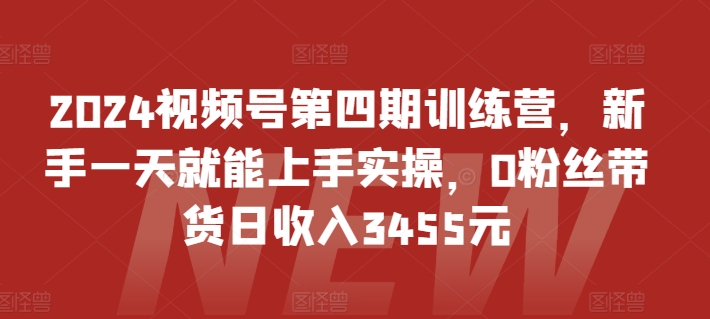 2024视频号第四期训练营，新手一天就能上手实操，0粉丝带货日收入3455元-大白鱼网创