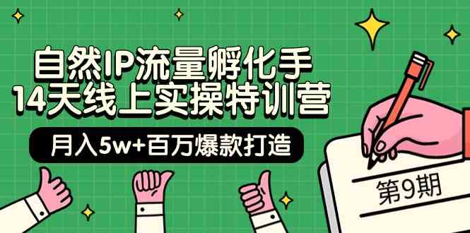 自然IP流量孵化手14天线上实操特训营【第9期】月入5w+百万爆款打造 (74节)-大白鱼网创