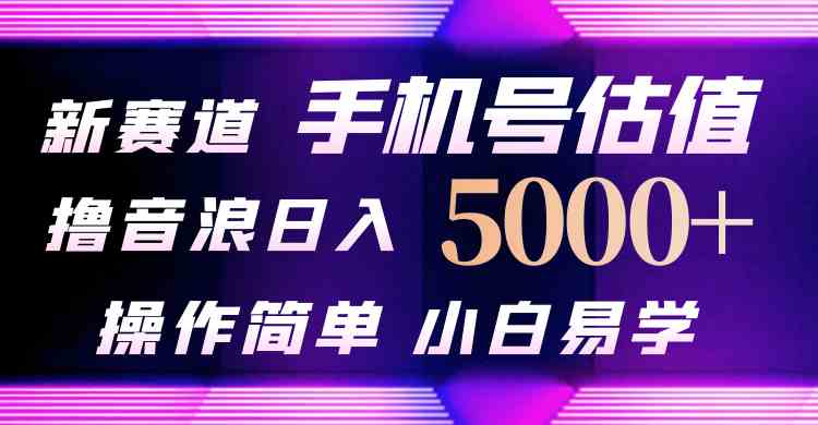 （10154期）抖音不出境直播【手机号估值】最新撸音浪，日入5000+，简单易学，适合…-大白鱼网创