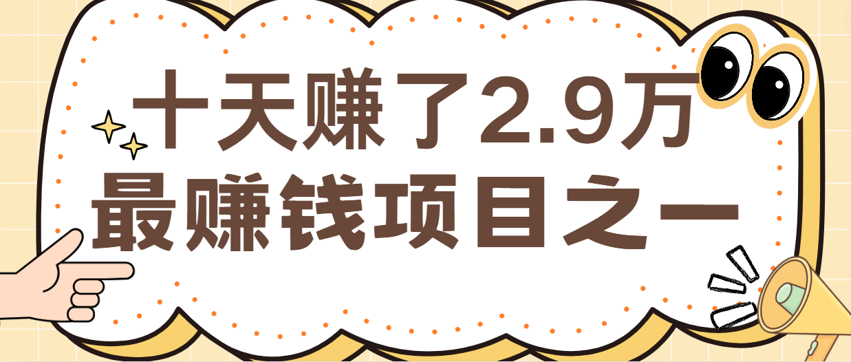 闲鱼小红书最赚钱项目之一，轻松月入6万+-大白鱼网创