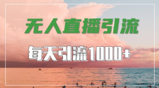 抖音快手视频号全平台通用，无人直播引流法，超暴力引流1000+高质量精准创业粉【揭秘】-大白鱼网创