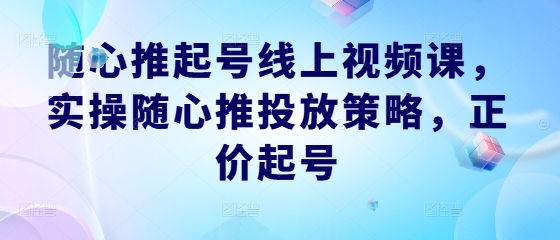 随心推起号线上视频课，实操随心推投放策略，正价起号-大白鱼网创