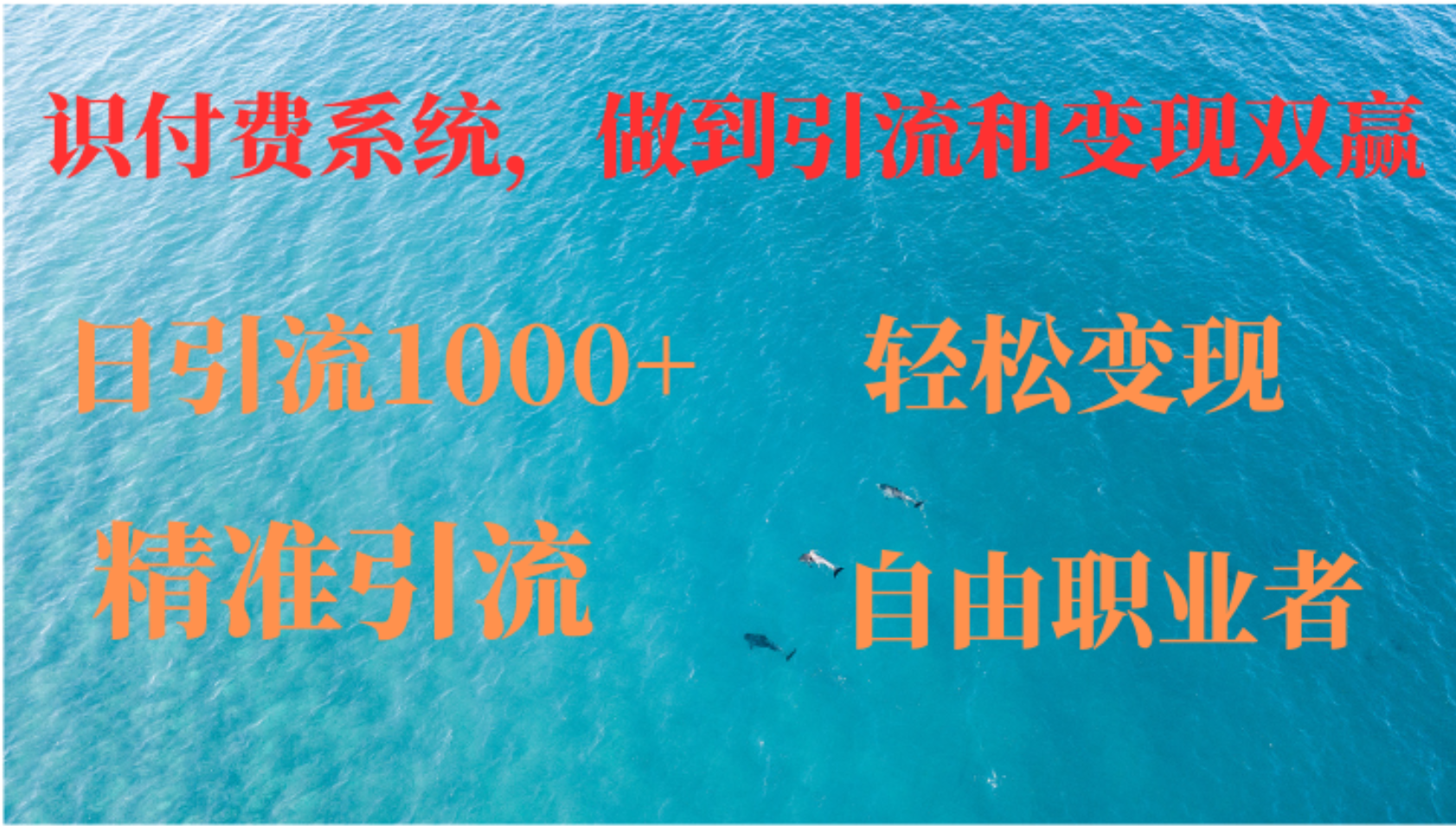 如何搭建自己的知识付费系统，做到引流和变现双赢-大白鱼网创