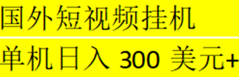 海外暴力短视频挂机全自动撸美金 单机日入300美元+【脚本免费+一对一指导】-大白鱼网创