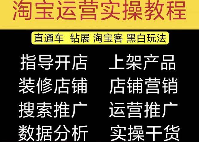 2023淘宝开店教程0基础到高级全套视频网店电商运营培训教学课程（2月更新）-大白鱼网创