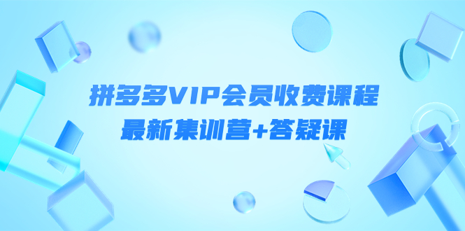 某社群·拼多多VIP会员收费课程，最新集训营+答疑课-价值3299元￼-大白鱼网创