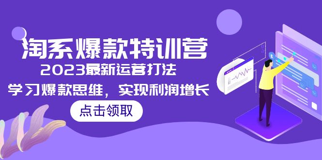 2023淘系爆款特训营，2023最新运营打法，学习爆款思维，实现利润增长-大白鱼网创