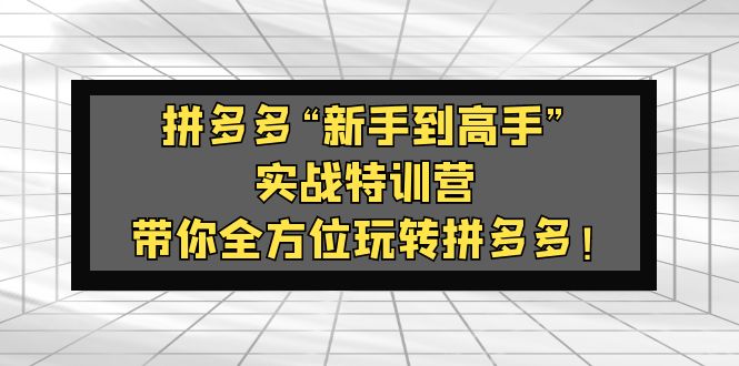 拼多多“新手到高手”实战特训营：带你全方位玩转拼多多！-大白鱼网创