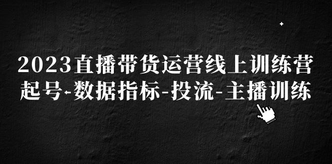 2023直播带货运营线上训练营，起号-数据指标-投流-主播训练-大白鱼网创