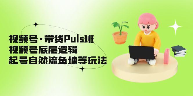 视频号·带货Puls班，视频号底层逻辑，起号自然流鱼塘等玩法-大白鱼网创