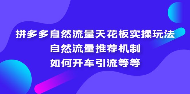 拼多多自然流量天花板实操玩法：自然流量推荐机制，如何开车引流等等-大白鱼网创