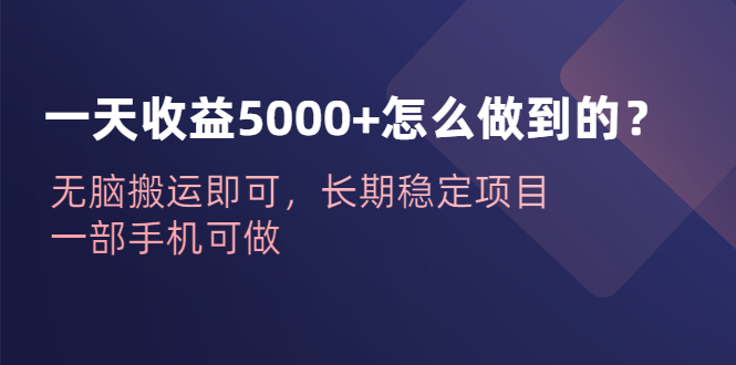 一天收益5000+怎么做到的？无脑搬运即可，长期稳定项目，一部手机可做-大白鱼网创