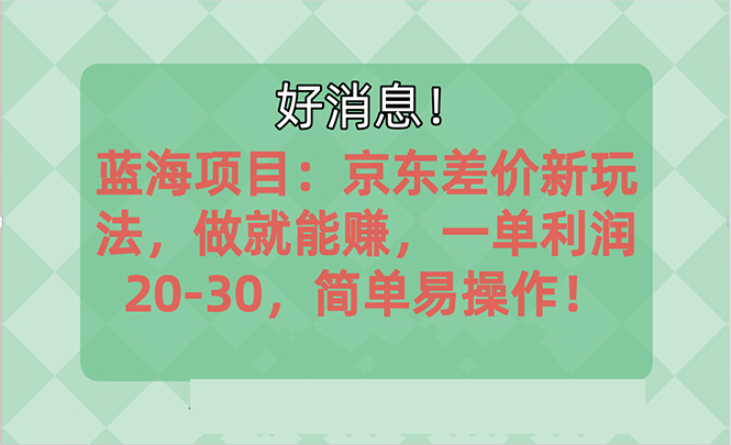 越早知道越能赚到钱的蓝海项目：京东大平台操作，一单利润20-30，简单易操作-大白鱼网创