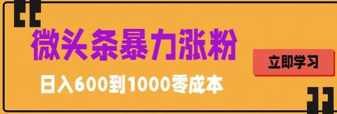 微头条暴力涨粉技巧搬运文案就能涨几万粉丝，简单0成本，日赚600-大白鱼网创