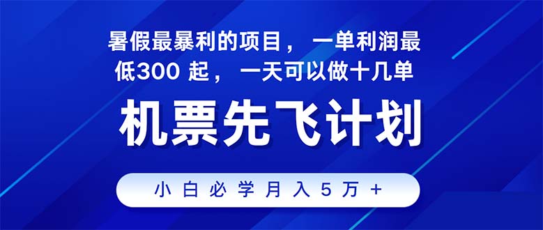 2024暑假最赚钱的项目，暑假来临，正是项目利润高爆发时期-大白鱼网创