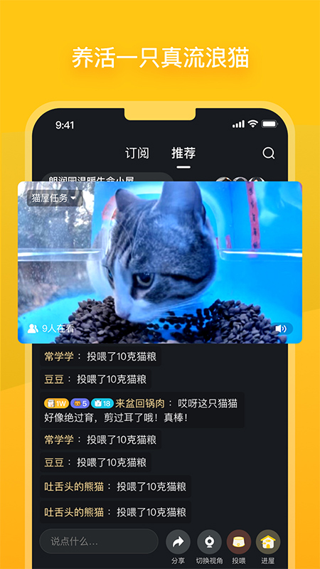 哈啰街猫app-大白鱼网创