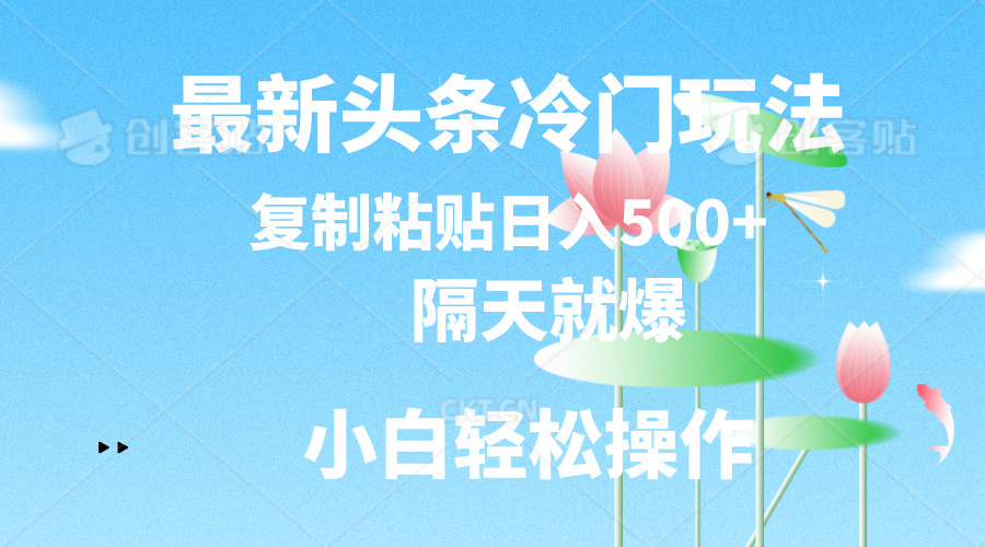 最新头条冷门玩法，隔天就爆，复制粘贴日入500+-大白鱼网创