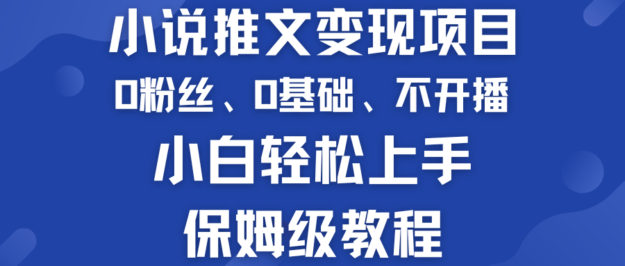 小说推文变现项目 0基础 不开播 小白轻松上手 保姆级教程-大白鱼网创