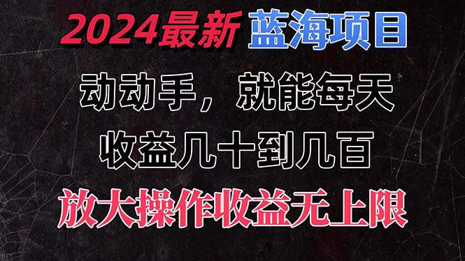 有手就行的2024全新蓝海项目，每天1小时收益几十到几百，可放大操作-大白鱼网创