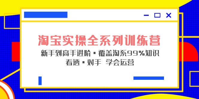 淘宝实操全系列训练营 新手到高手进阶·覆盖·99%知识 看透·对手 学会运营-大白鱼网创