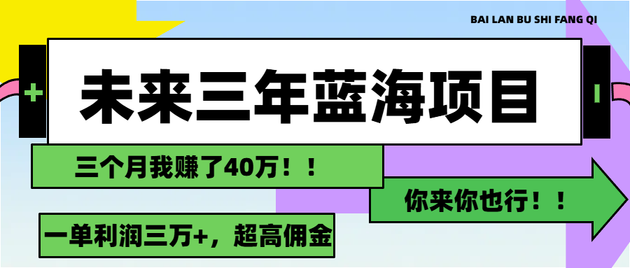 未来三年，蓝海赛道，月入3万+-大白鱼网创